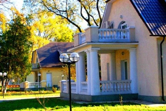 Біла Акація — фото 3